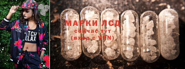 прущие грибы Семилуки