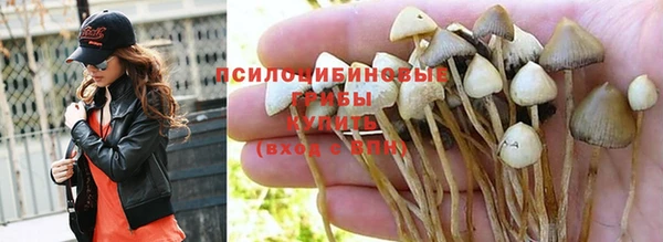 MDMA Арсеньев
