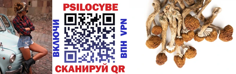 Псилоцибиновые грибы прущие грибы  Керчь 